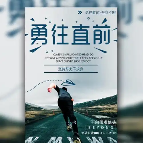 冬青树有什么作用与功效
