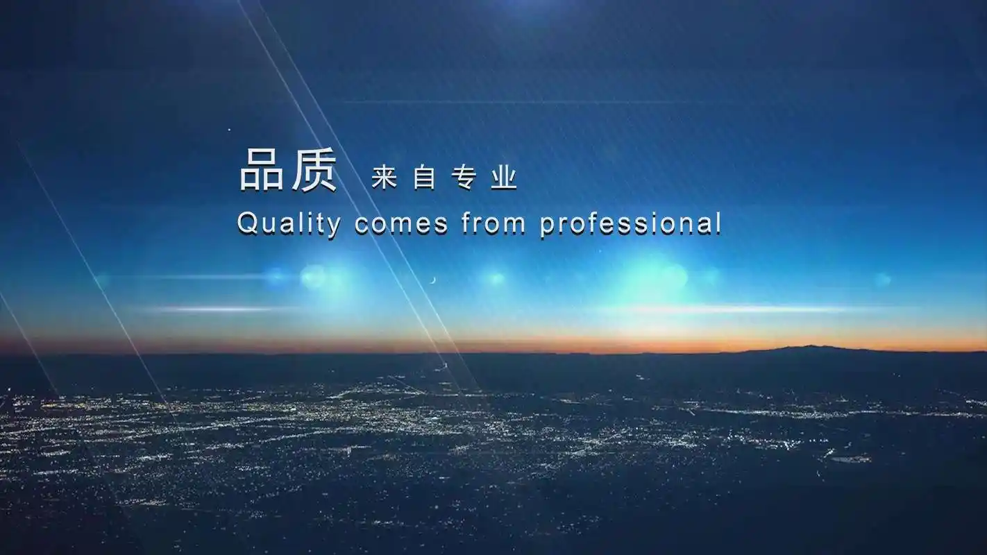 冬青树开花的图片大全