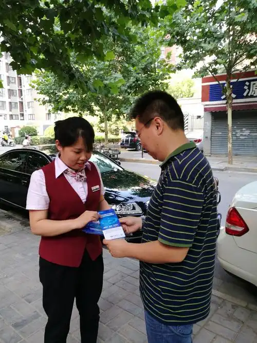 冬青树有什么作用与功效